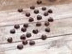 3D Suklaamuotti, sydän