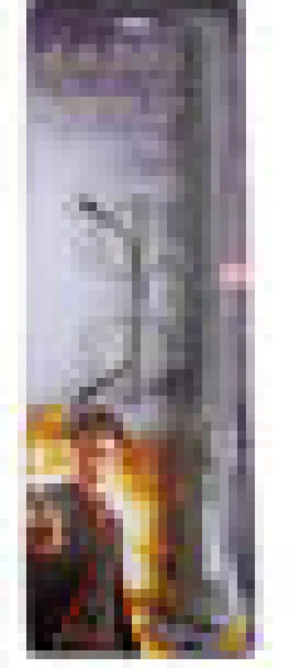 Harry Potter peruspaketti