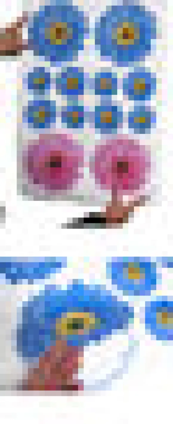 Kukkeat sisustustarrat