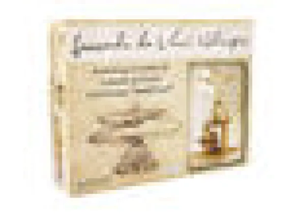 Leonardo da Vincin Helikopteri