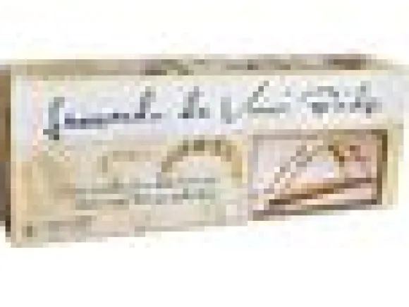 Leonardo da Vincin Silta