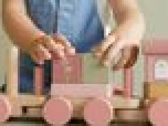 Little Dutch Wild Flowers Puujuna