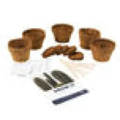 Oma kaktus kasvatuspaketti