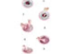 Rullaj&auml;&auml;tel&ouml;n Valmistussetti